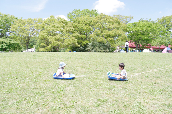 芝生でソリ遊び